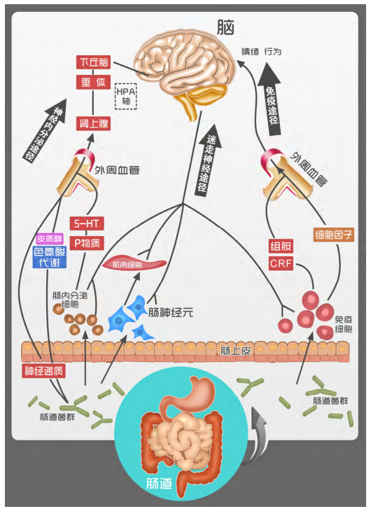 首页| 天博克罗地亚体育平台